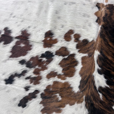 Tricolor Cowhide Rug (39.25 sq ft) Size: 7.2x6.2 feet Colombia-218