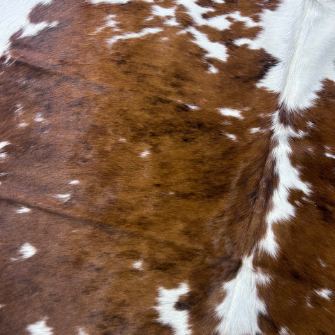 Tricolor Cowhide Rug (37.25 sq ft) Size: 7x6.2 feet Colombia-220