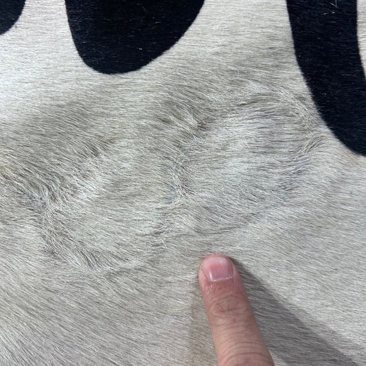 Zebra Cowhide Rug Size: 7.2x6.2 feet D-913