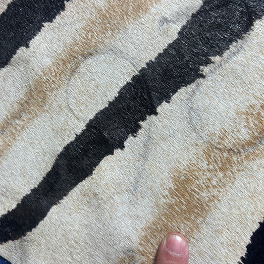 Genuine Zebra Print Cowhide Rug Size: 7x5.5 feet D-918