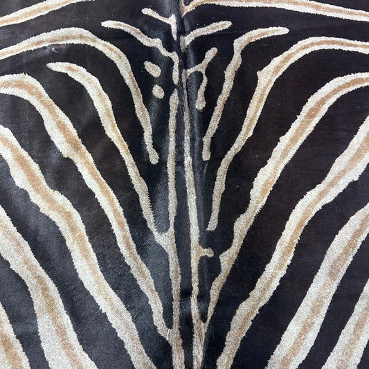 Genuine Zebra Print Cowhide Rug Size: 6.2x5.5 feet D-919