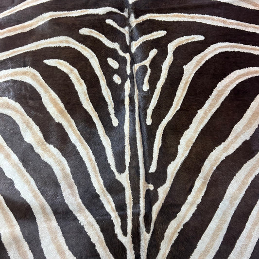 Genuine Zebra Print Cowhide Rug Size: 7x5.5 feet D-920