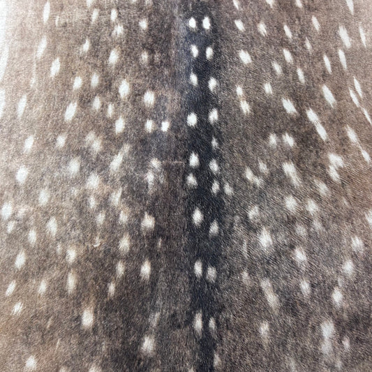 Axis Deer Skin Print Cowhide Rug Size: 7.2x6.2 feet Y-138