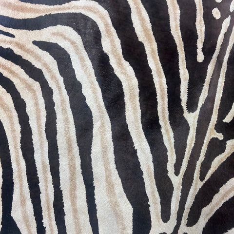 Genuine Zebra Print Cowhide Rug (brown stripes) Size: 6.2x6 feet Z-304