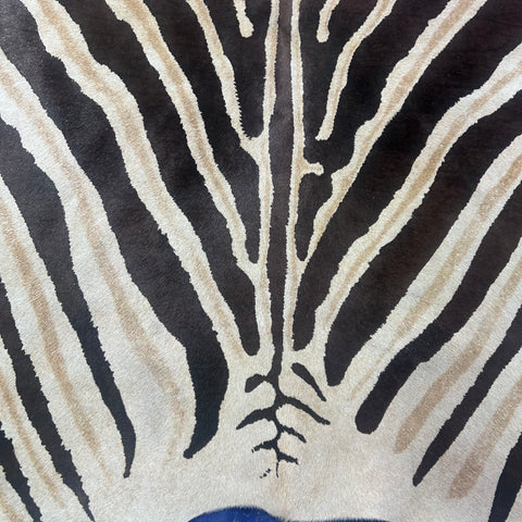 Genuine Zebra Print Cowhide Rug (brown stripes) Size: 6.2x6 feet Z-304