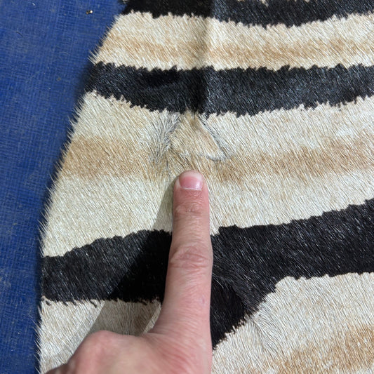 Genuine Zebra Cowhide Rug Size: 7x5.2 feet D-929