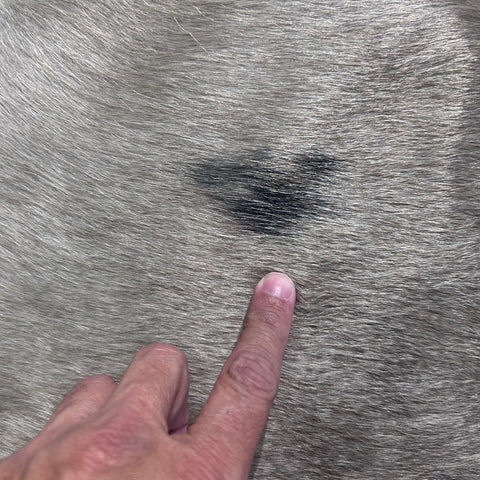 Alpen Cowhide Rug Size: 7x6 feet X-020