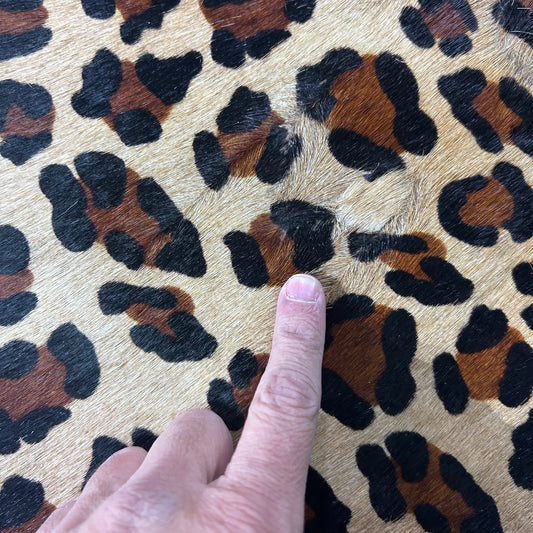 Leopard Print Cowhide Rug Size: 7.5x5.5 feet Z-133