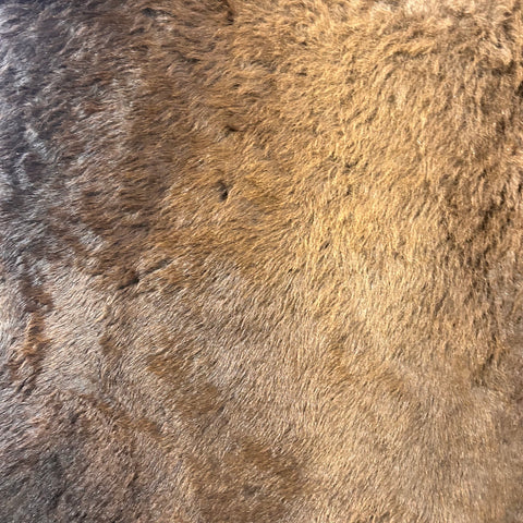 Bison Skin Rug (Gorgeous and Huge) Size: 8x7 feet LOT # 4