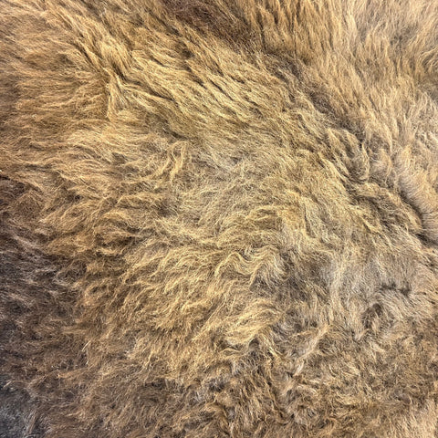 Bison Skin Rug (Gorgeous and Huge) Size: 8x7 feet LOT # 4