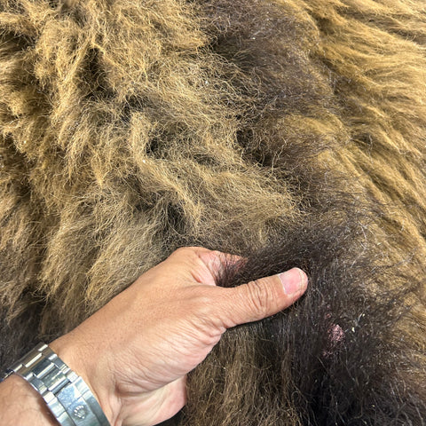 Bison Skin Rug (Gorgeous and Huge) Size: 8x7 feet LOT # 4