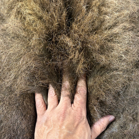 Bison Skin Rug (Gorgeous and Huge/ soft tanning) Size: 8x7 feet LOT # 5