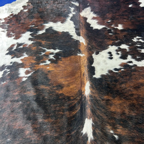 Tricolor Cowhide Rug Size: 8x7 feet X-020 A