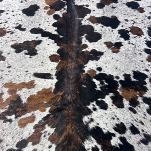 Tricolor Cowhide Rug Size: 7x6.5 feet X-023