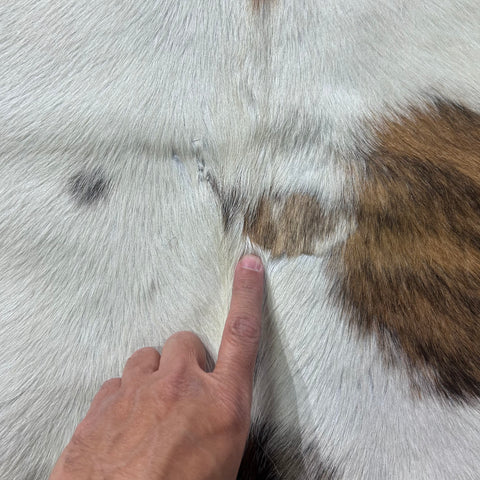 Tricolor Cowhide Rug (speckled with lighter tones/ small patch) Size: 7.5x7 feet X-024