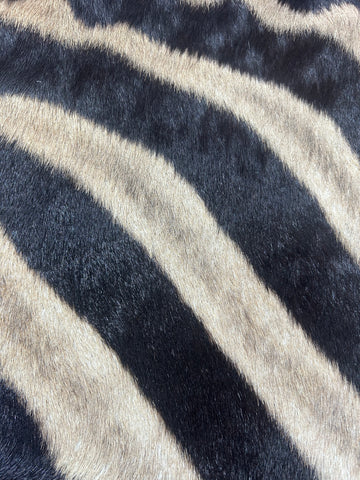 Real Zebra Skin Pillow Cover 17X17" #6