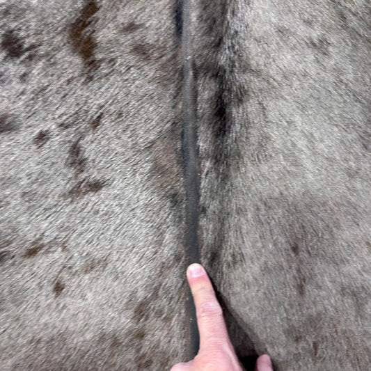 Blue Wildebeest Hide (29"tail) Stiff! Bald Line Down the Middle Size: 5x4 ft D-988