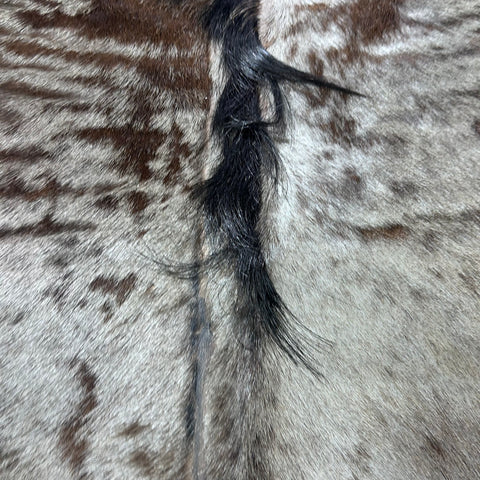 Blue Wildebeest Hide (29"tail) Stiff! Bald Line Down the Middle Size: 5x4 ft D-988