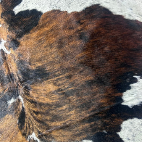 Tricolor Cowhide Rug (HUGE) Size: 8x7 feet X-031