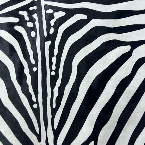 African Zebra Cowhide Rug Size: 7x6 feet Z-138