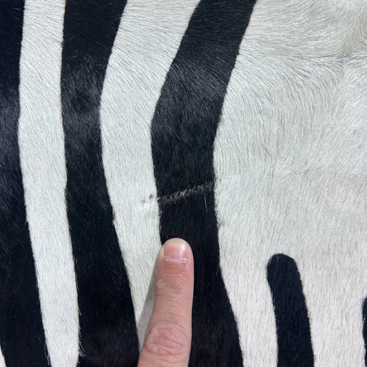 African Zebra Cowhide Rug Size: 7x6 feet Z-138