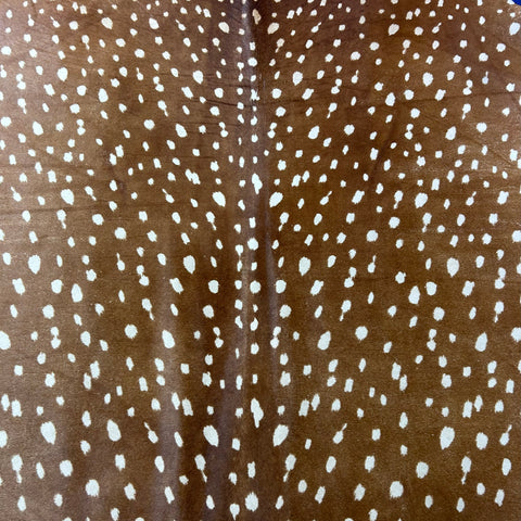 Axis Deer Printed Cowhide Rug Size: 8x6.5 feet Z-142