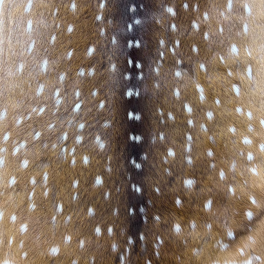 Top Grade Axis Deer Skin (1 little hole) Size: 38x32" Axis-767