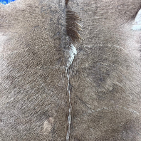 Kudu Skin - Deer Leather Rug -Deer skin for pillows, wallets, hand bags, deer floor rug - Real Kudu Hide - Greater Kudu Antelope Skin D-990