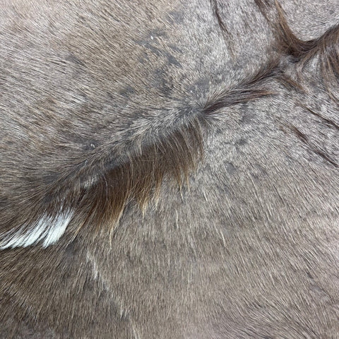 Kudu Skin - Deer Leather Rug -Deer skin for pillows, wallets, hand bags, deer floor rug - Real Kudu Hide - Greater Kudu Antelope Skin D-990