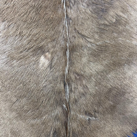 Kudu Skin - Deer Leather Rug -Deer skin for pillows, wallets, hand bags, deer floor rug - Real Kudu Hide - Greater Kudu Antelope Skin D-990