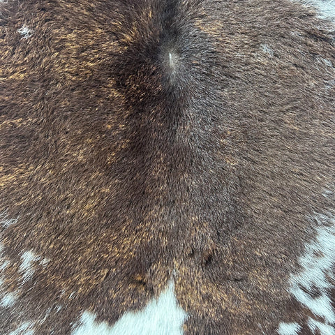 Tricolor Calf Skin Size: 32x30" D-992