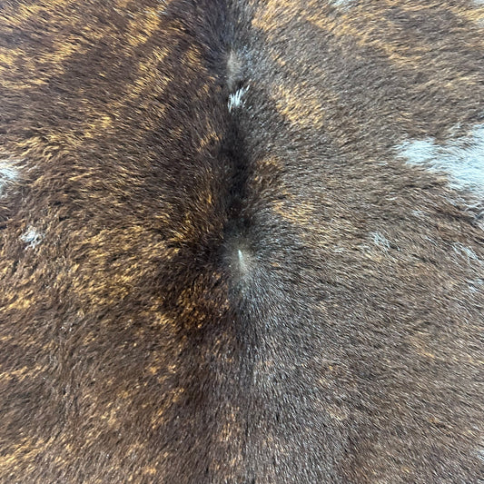 Tricolor Calf Skin Size: 32x30" D-992