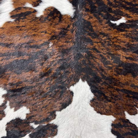 Tricolor Calf Skin Size: 37x37" D-993