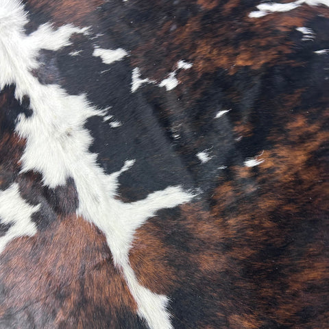 Tricolor Cowhide Rug (45.5 sq ft) Size: 8x7.5 feet Colombia-146
