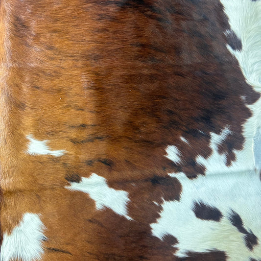 Tricolor Cowhide Rug D-492