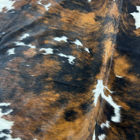 Tricolor Cowhide Rug (47.25 sq ft) Size: 8x7 feet Colombia-124