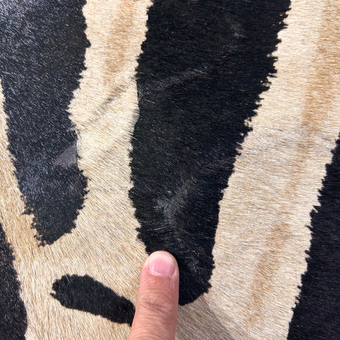 Genuine Zebra Print Cowhide Rug (brown inner stripes) Size: 7x5.7 feet D-496