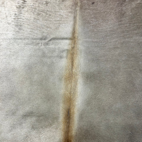 Natural Beige/Alpen Cowhide Rug (shiny hair) Size: 7x7 feet J-133
