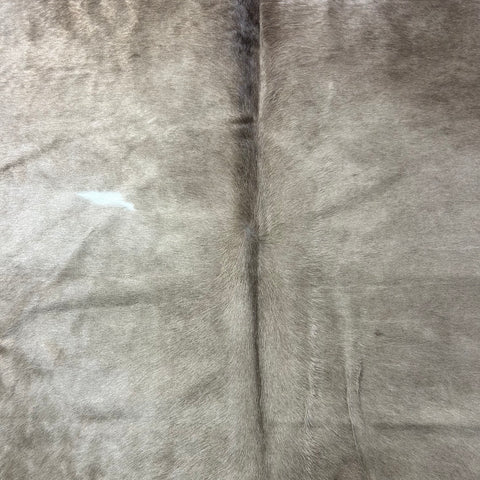 Huge Alpen Cowhide Rug Size: 8x7 feet J-134
