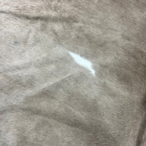 Huge Alpen Cowhide Rug Size: 8x7 feet J-134