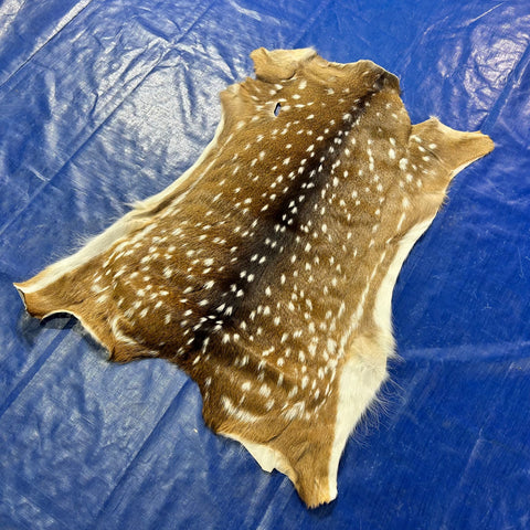 Axis Deer Skin Size: 40x32" Axis-781