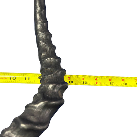 Impala Skull - Real Deer Skull - Antler Horns Wall Art Rustic Decor, Dad Gift |Approximate Size: 27LX14WX11D"