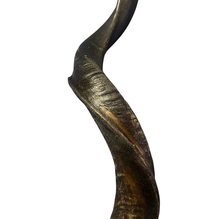 Natural Kudu Horn African Antelope Outer Horn Size XXL
