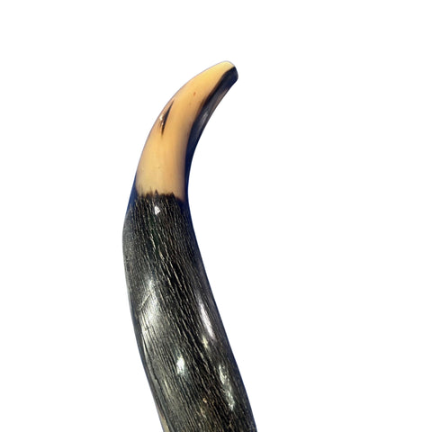 Kudu Yemenite Shofar XXL (47" around curls) Genuine Antelope Horn Judaica Trumpet Kosher-made Kudu antelope horn shofar Receive EXACT one!