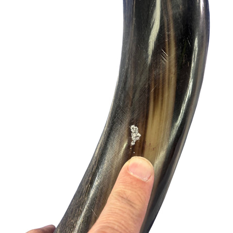 Kudu Yemenite Shofar XXL (47" around curls) Genuine Antelope Horn Judaica Trumpet Kosher-made Kudu antelope horn shofar Receive EXACT one!