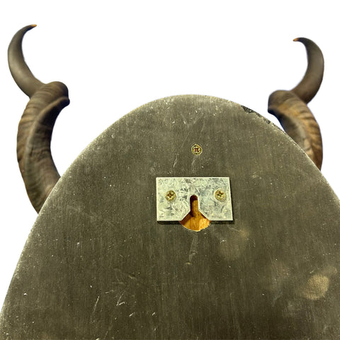 Kudu Skull - Real Greater Kudu Antelope Skull on Wooden Shield- | Approximate Size: 37X27X19”/ 37" and 38" horns