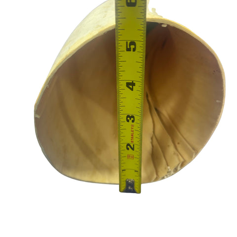 Real Ox Horn Set (2 horns/left and right) - 26" and 28" long Longhorn Rustic Decor Arts and Crafts Cowboy Gift - Steer Horns