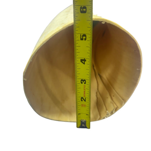 Real Ox Horn Set (2 horns/left and right) - 26" and 28" long Longhorn Rustic Decor Arts and Crafts Cowboy Gift - Steer Horns