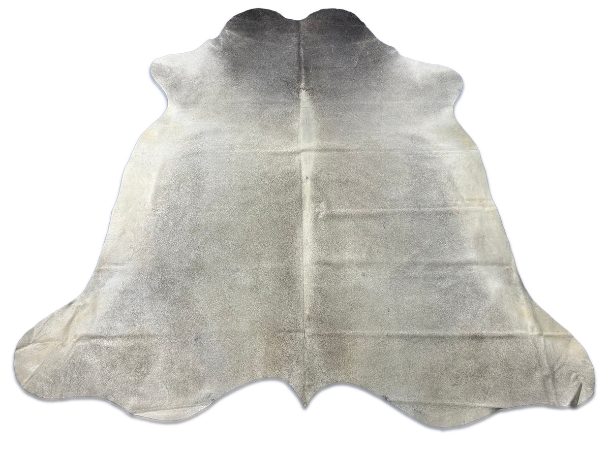 Solid Grey Cowhide Rug (neck area is a bit darker than the rest) Size: 7.5x7 feet M-1679