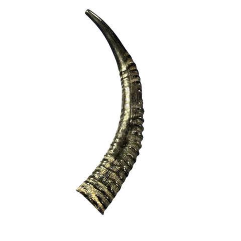 Yemenite Shofar Genuine Antelope Horn Judaica Trumpet Kosher-made African antelope horn shofar Yemenite Shofar - 22" around the curve